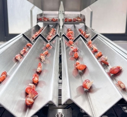 Application of counting packaging machine in frozen food industry